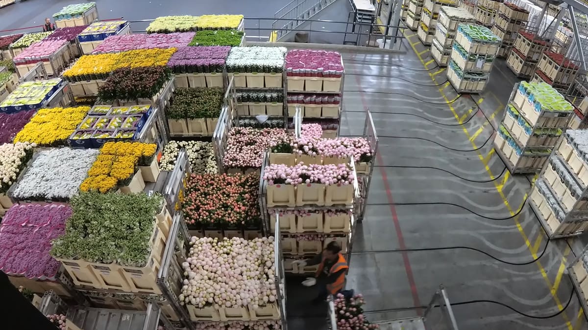 Royal FloraHolland is the largest flower auction