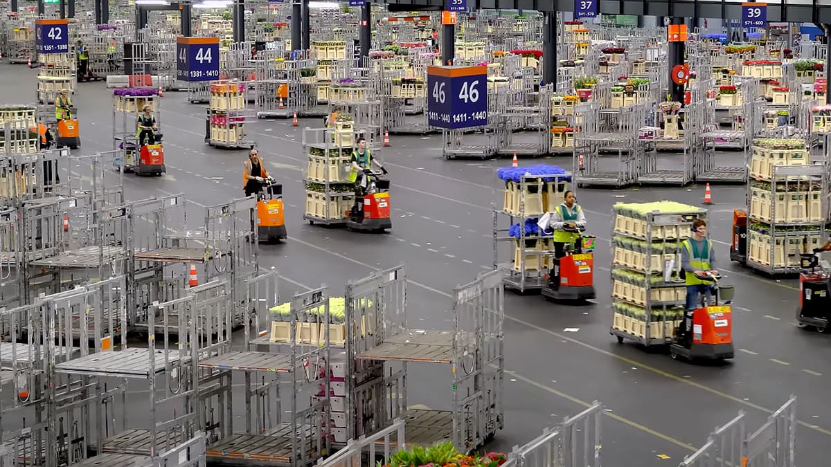 Логистика и транспортировка FloraHolland