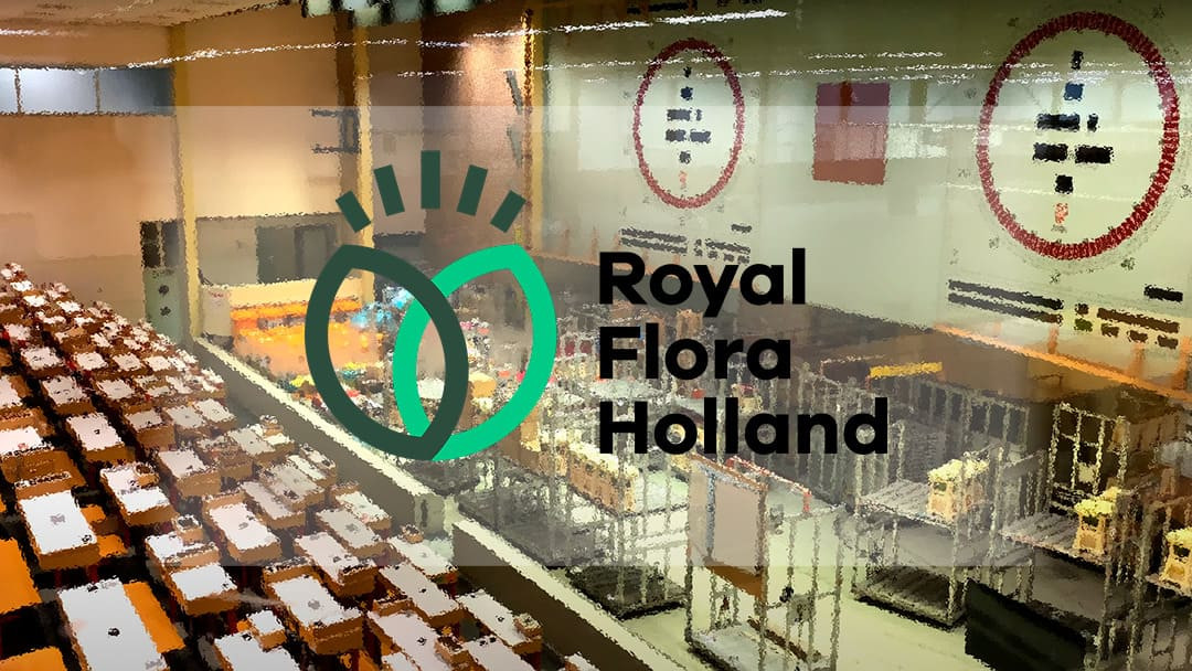 What is FloraHolland Flower Auction?